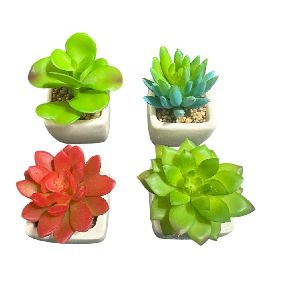 Set of 4 Faux Succulent Plants in White Ceramic Pots